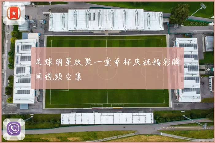 足球明星欢聚一堂举杯庆祝精彩瞬间视频合集