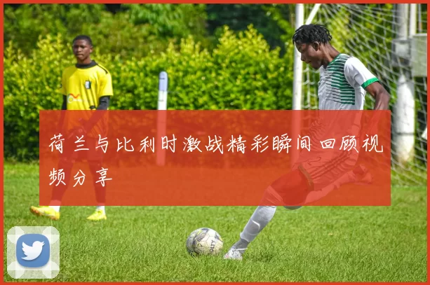 荷兰与比利时激战精彩瞬间回顾视频分享