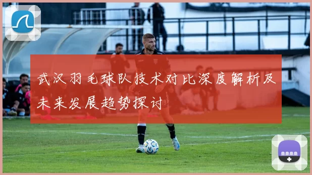 武汉羽毛球队技术对比深度解析及未来发展趋势探讨