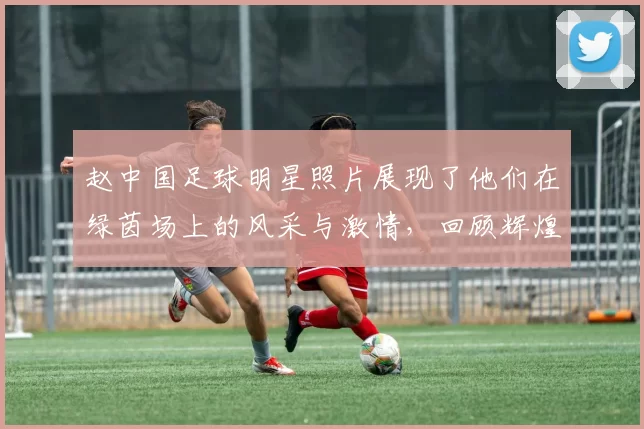 赵中国足球明星照片展现了他们在绿茵场上的风采与激情，回顾辉煌瞬间与成就