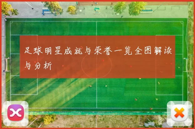 足球明星成就与荣誉一览全图解读与分析