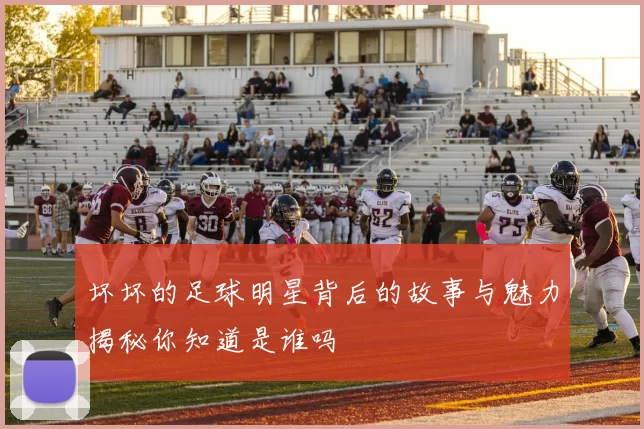 坏坏的足球明星背后的故事与魅力揭秘你知道是谁吗