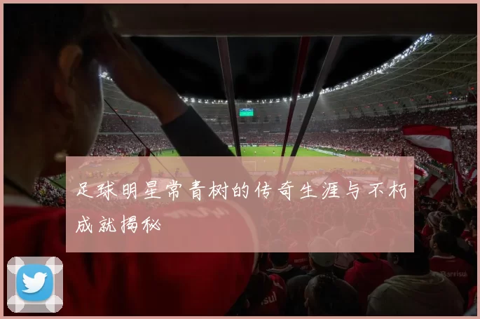 足球明星常青树的传奇生涯与不朽成就揭秘