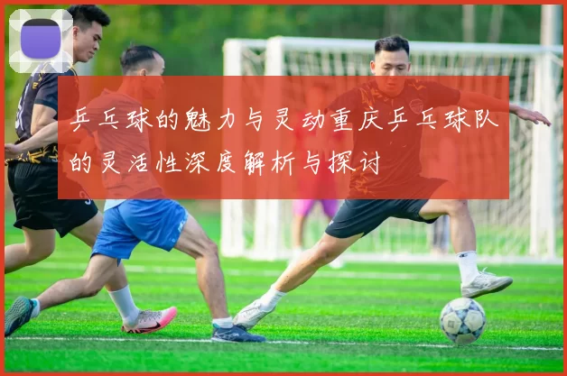 乒乓球的魅力与灵动重庆乒乓球队的灵活性深度解析与探讨