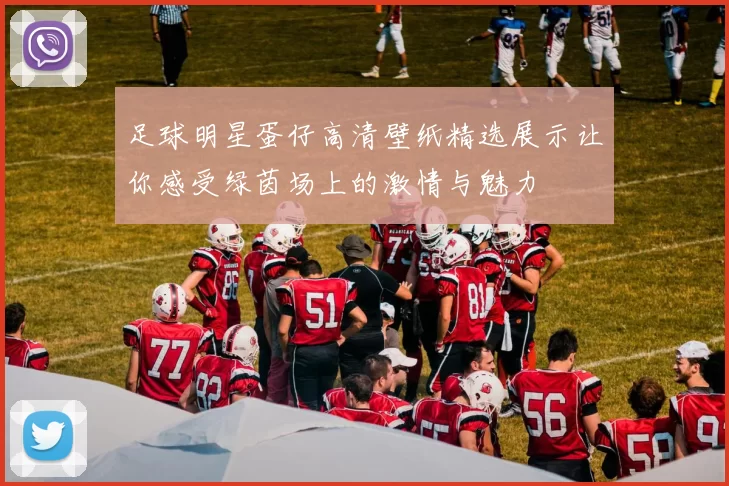 足球明星蛋仔高清壁纸精选展示让你感受绿茵场上的激情与魅力