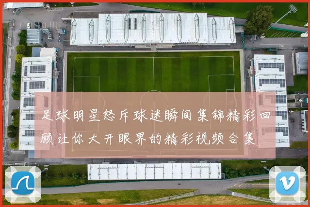 足球明星怒斥球迷瞬间集锦精彩回顾让你大开眼界的精彩视频合集