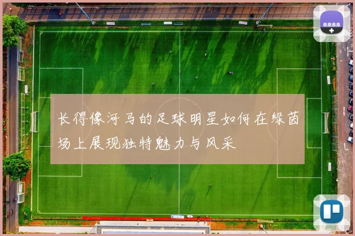 长得像河马的足球明星如何在绿茵场上展现独特魅力与风采