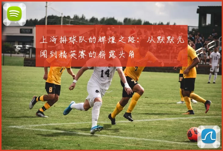 上海排球队的辉煌之路：从默默无闻到精英赛的崭露头角