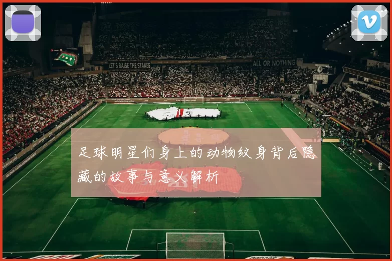 足球明星们身上的动物纹身背后隐藏的故事与意义解析