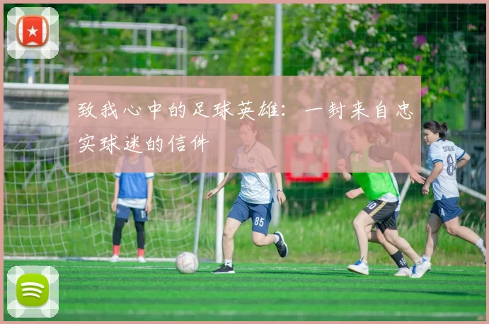 致我心中的足球英雄：一封来自忠实球迷的信件