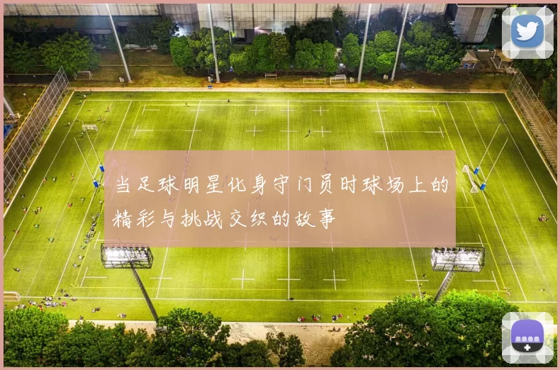 当足球明星化身守门员时球场上的精彩与挑战交织的故事