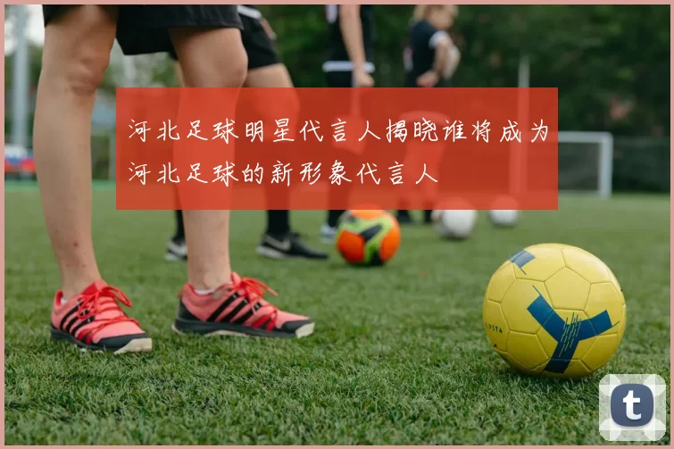 河北足球明星代言人揭晓谁将成为河北足球的新形象代言人